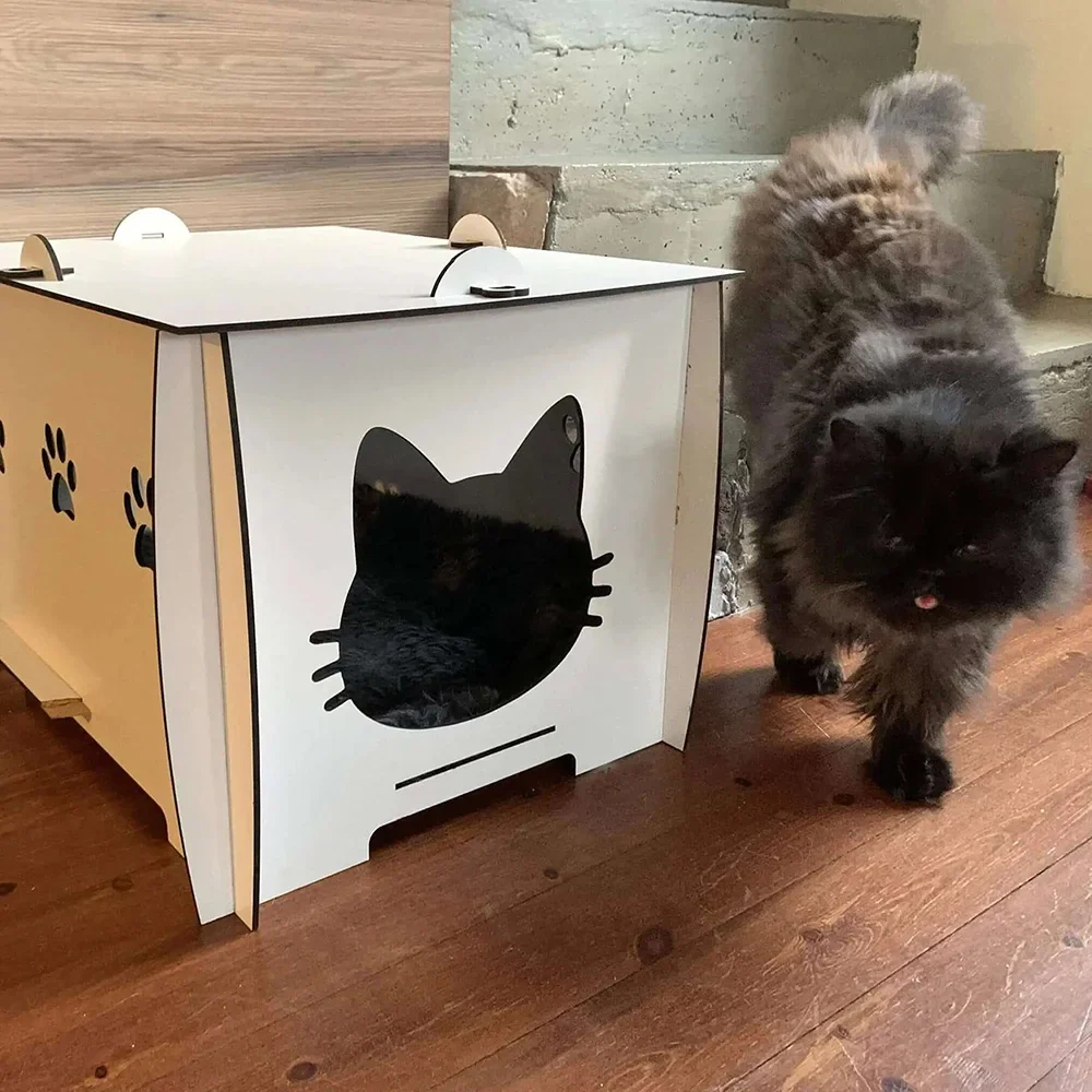 Chloe Cat House