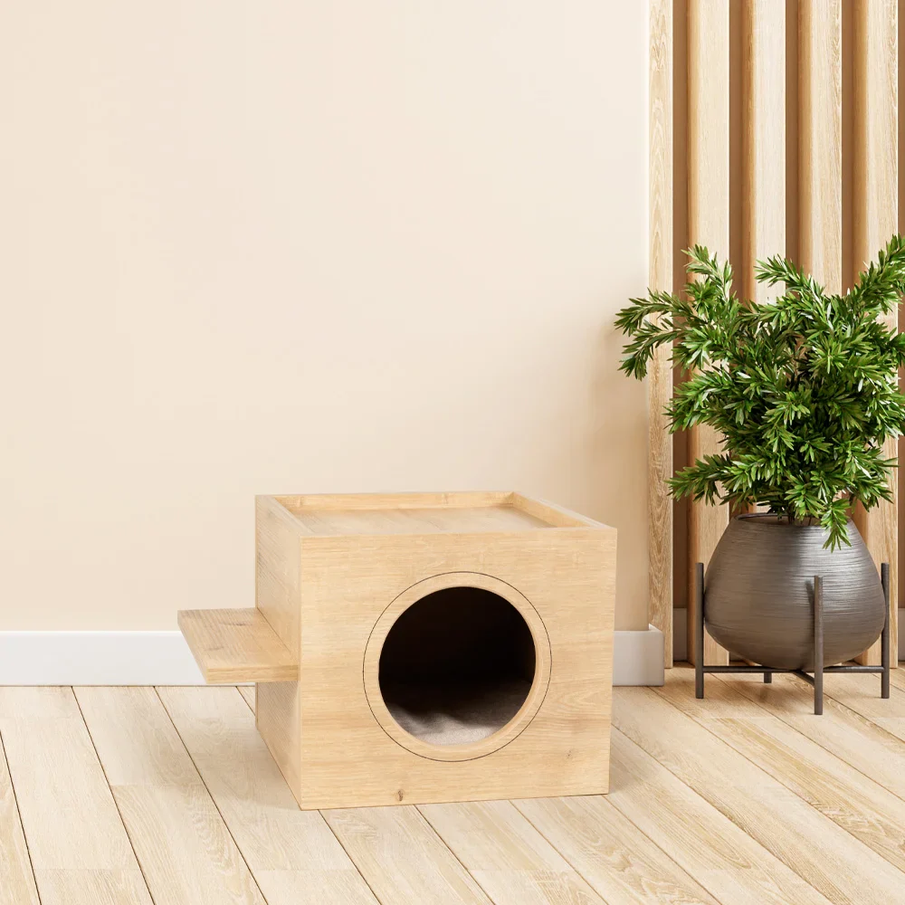 Cat House indoor