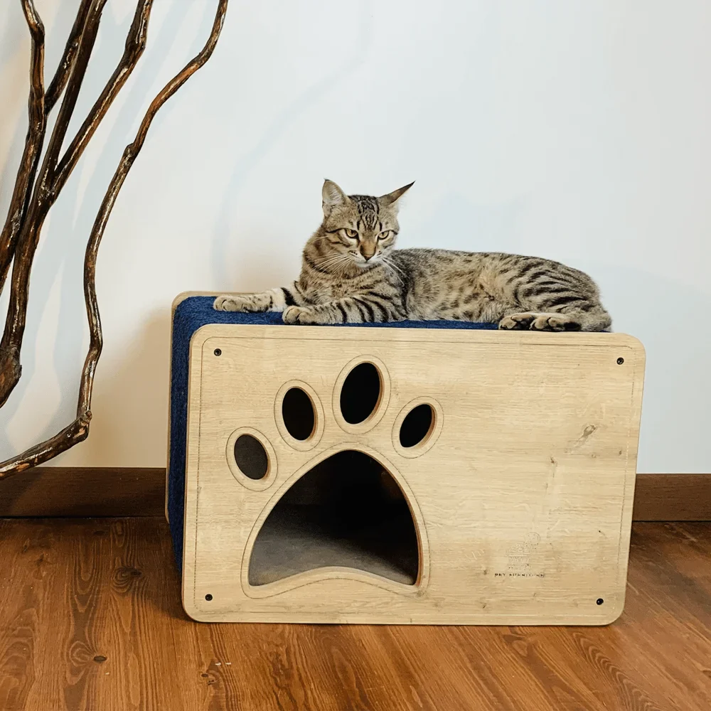 Luna Cat House & Scratcher