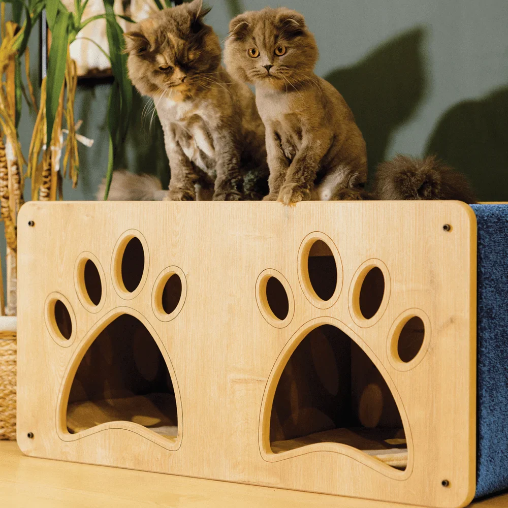 Luna Cat House & Scratcher