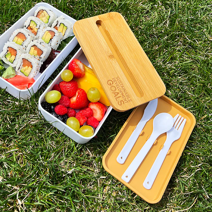 SDGs Bento Lunch Box