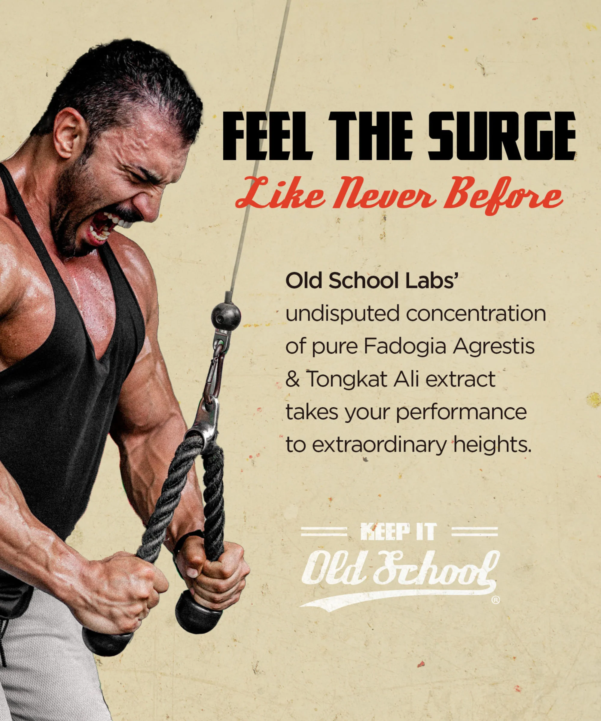 Fadogia Agrestis with Tongkat Ali