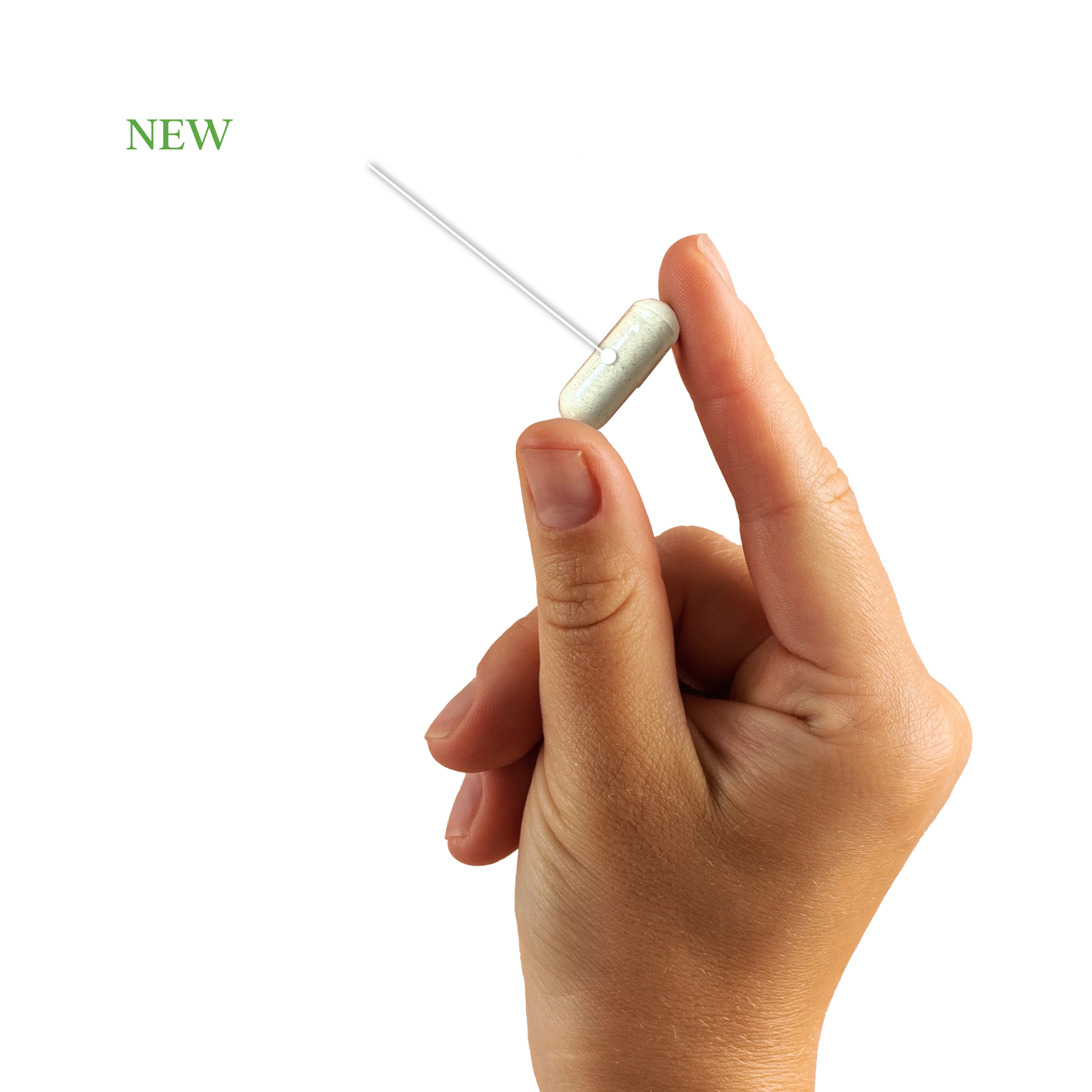 FLORA-FORM (PROBIOTIC+)