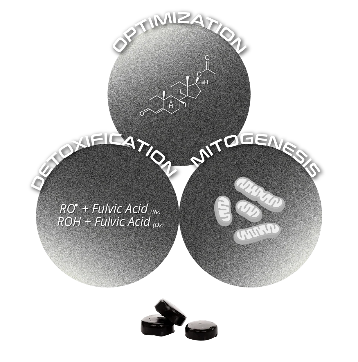 PANACEA (PURE SHILAJIT TABLETS)