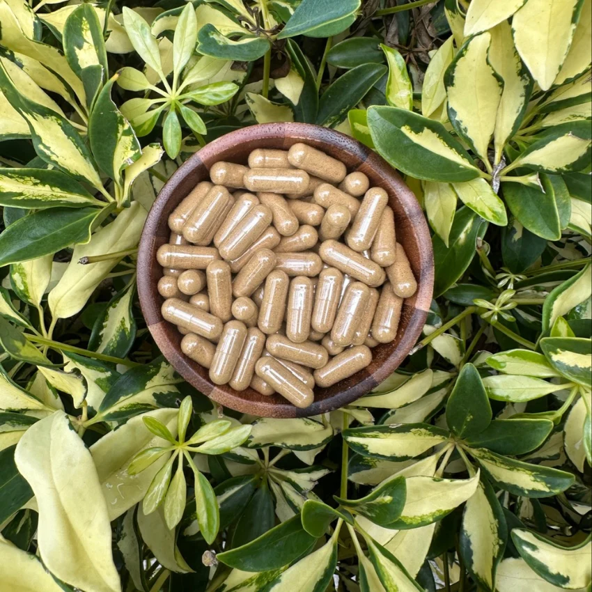 Cascara Sagrada Capsules - Constipation + Gut Detox
