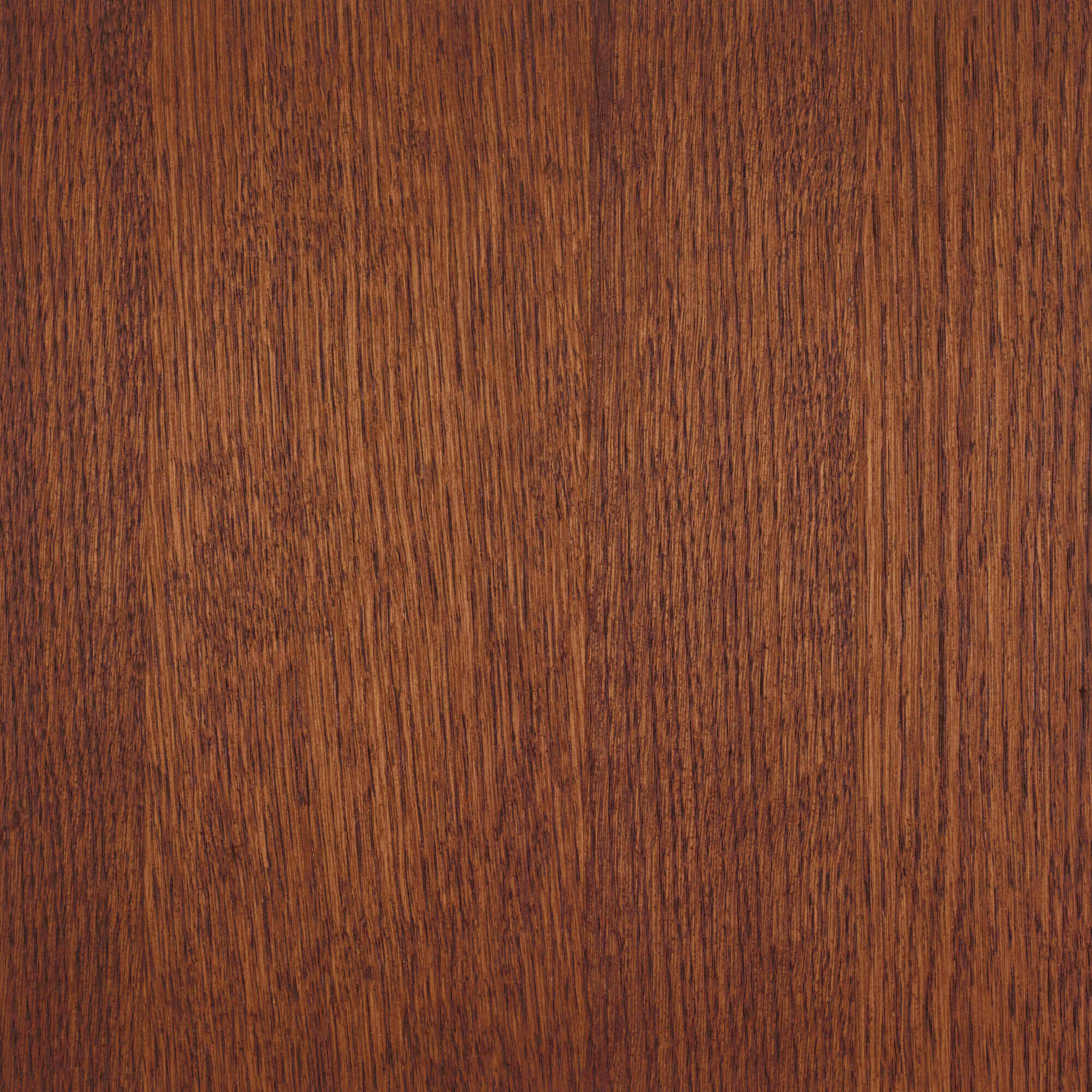 Oil Plus 2C - 130 mL