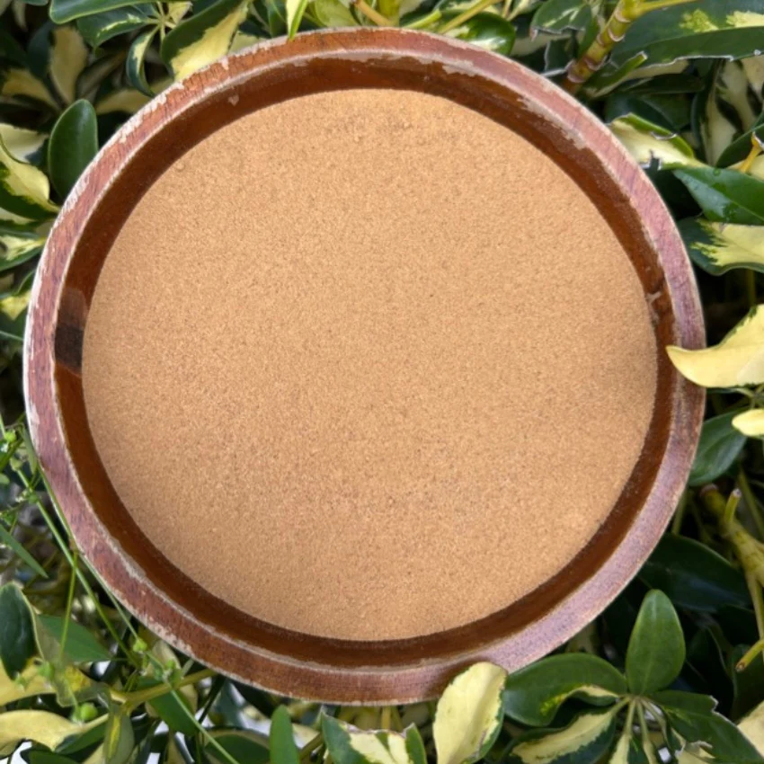 Cascara Sagrada Capsules - Constipation + Gut Detox