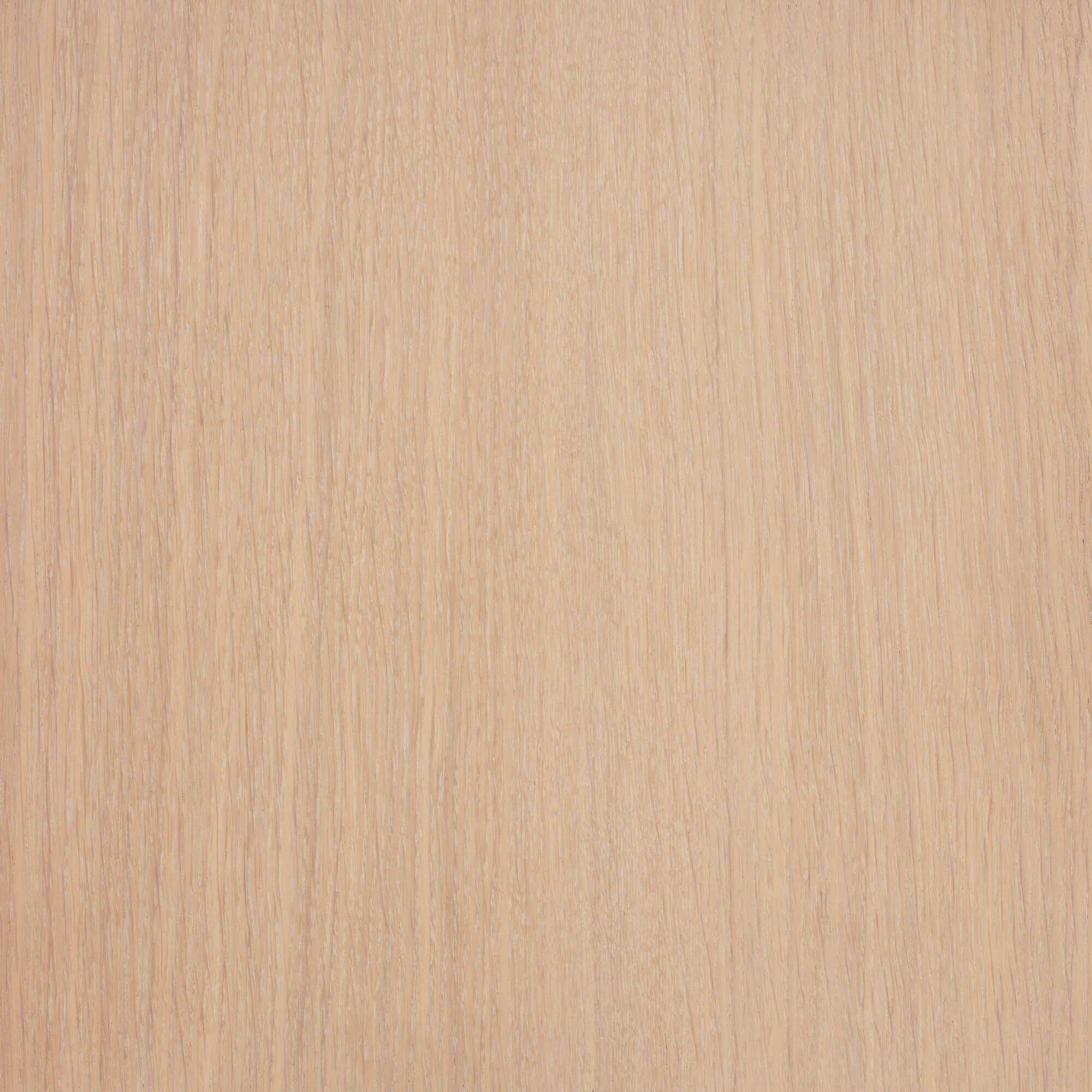 Oil Plus 2C - 130 mL