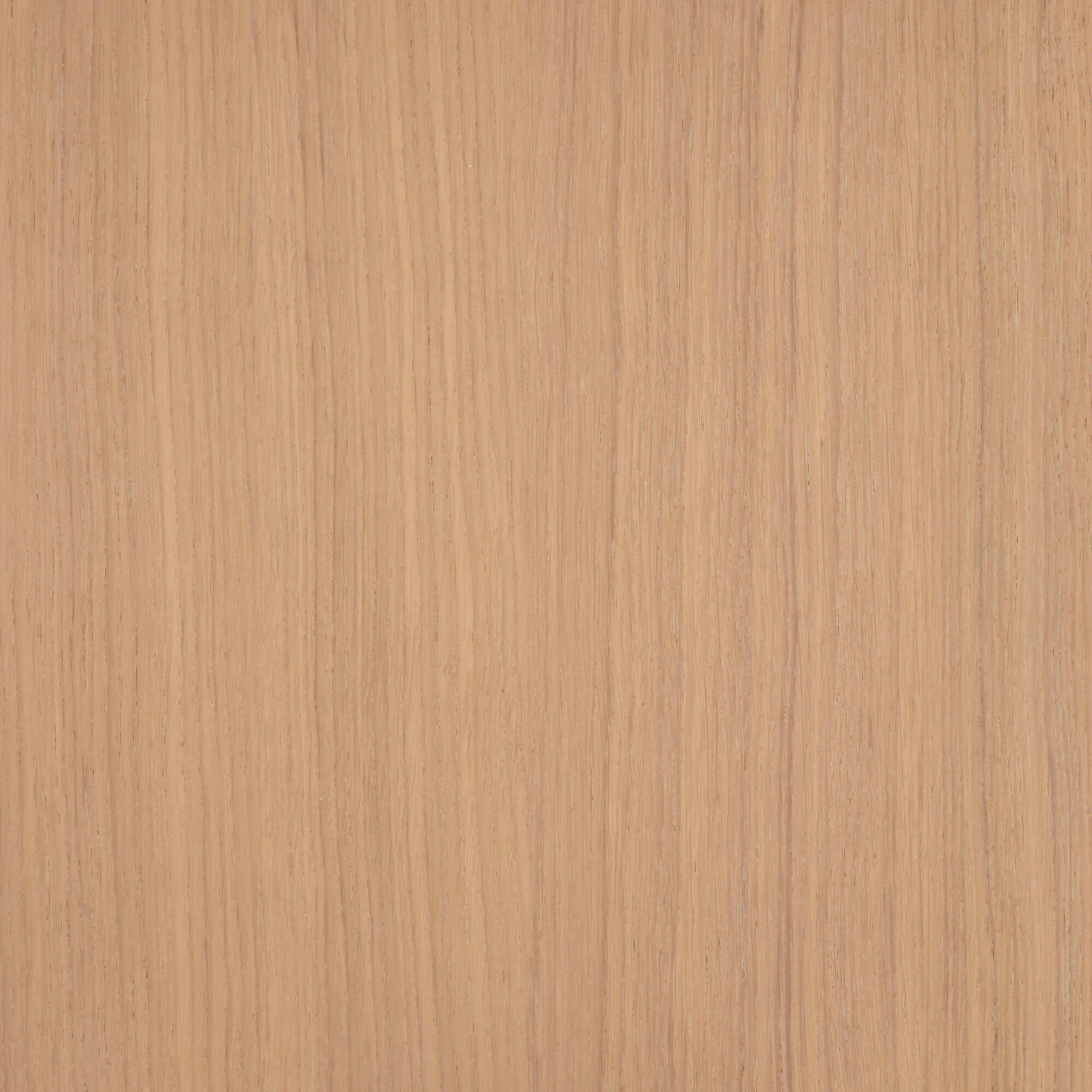 Oil Plus 2C - 130 mL