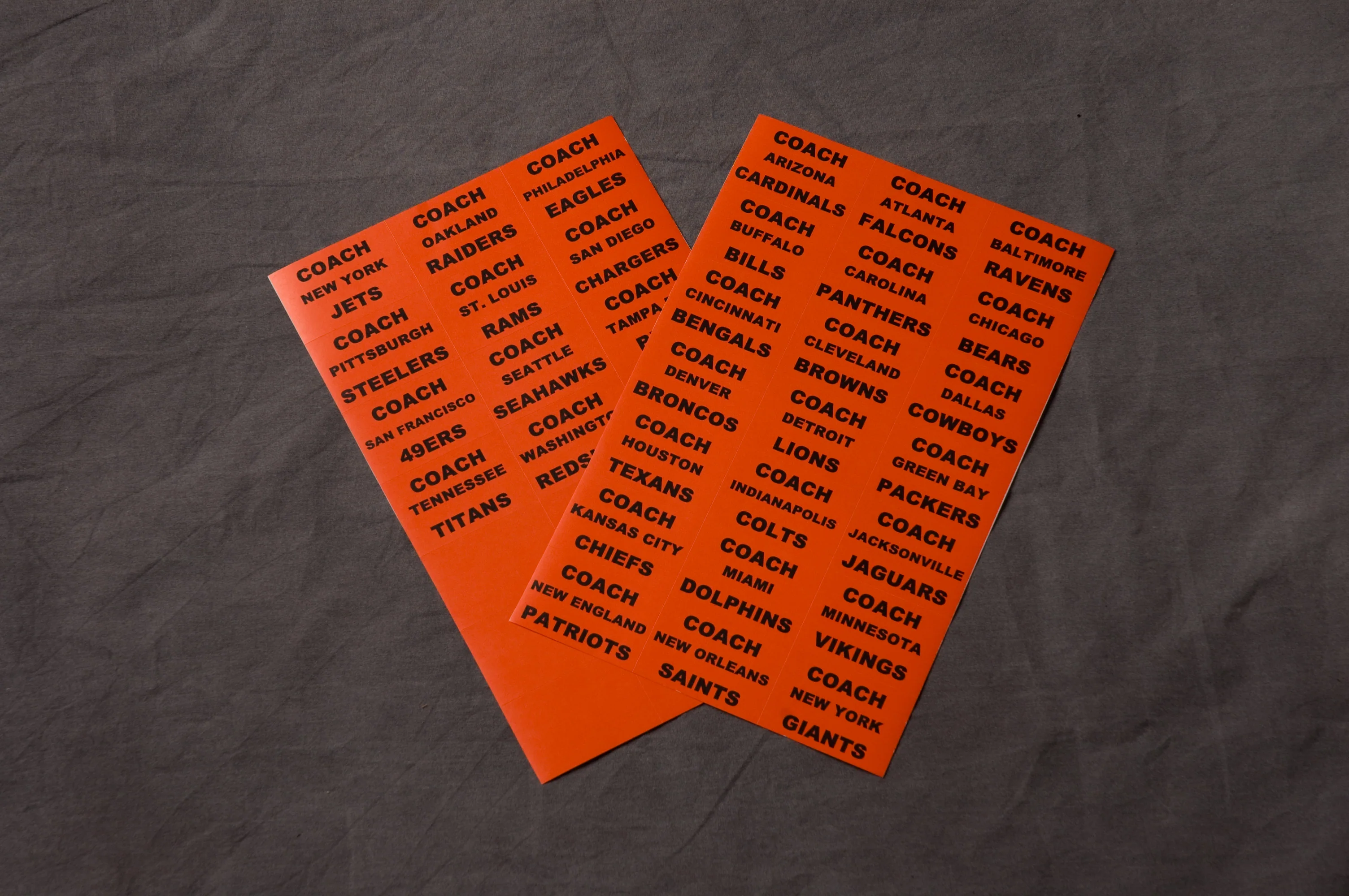 Fantasy Football: Extra Set of NFL Team Names Labels