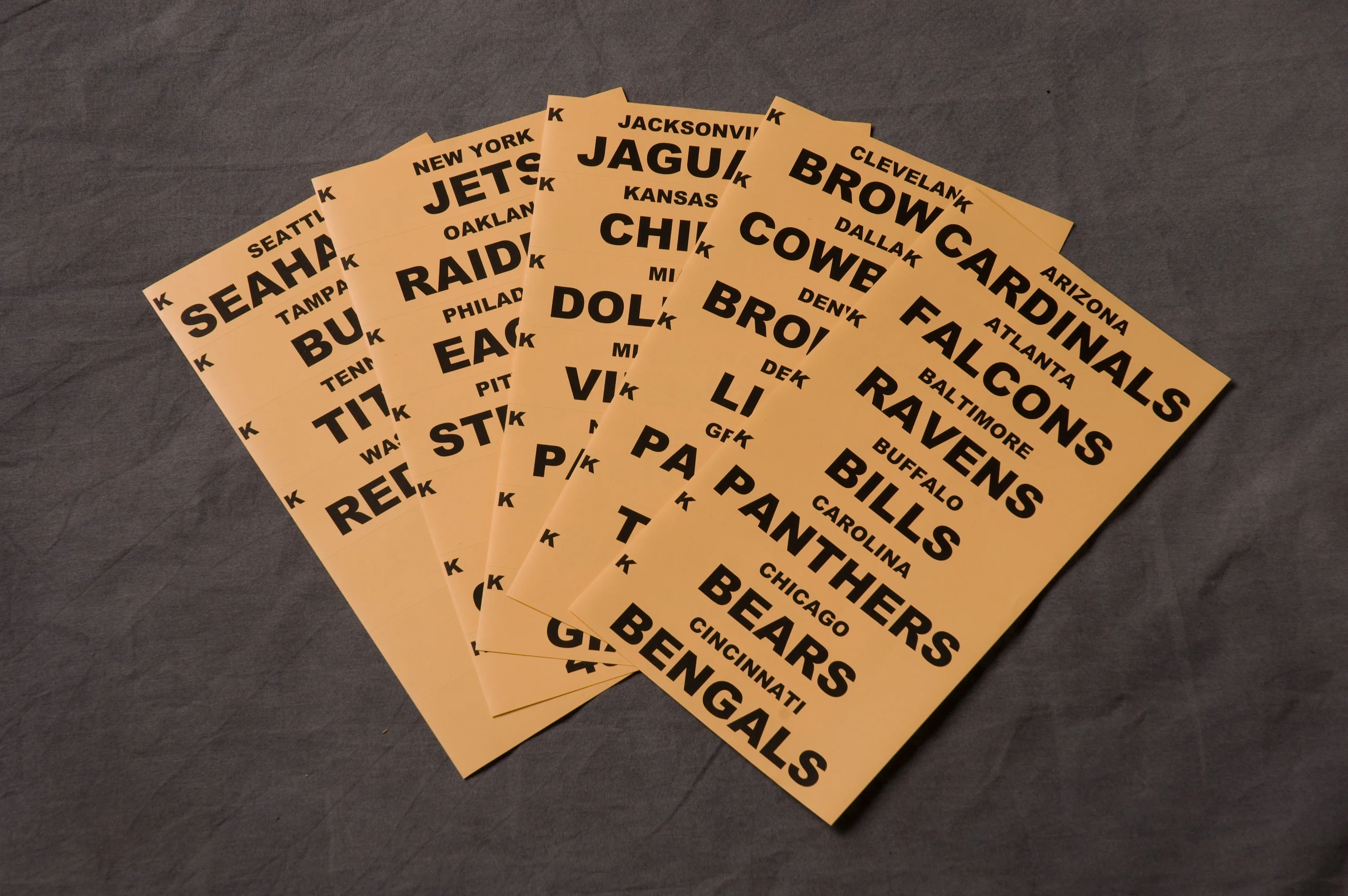 Fantasy Football: Extra Set of NFL Team Names Labels