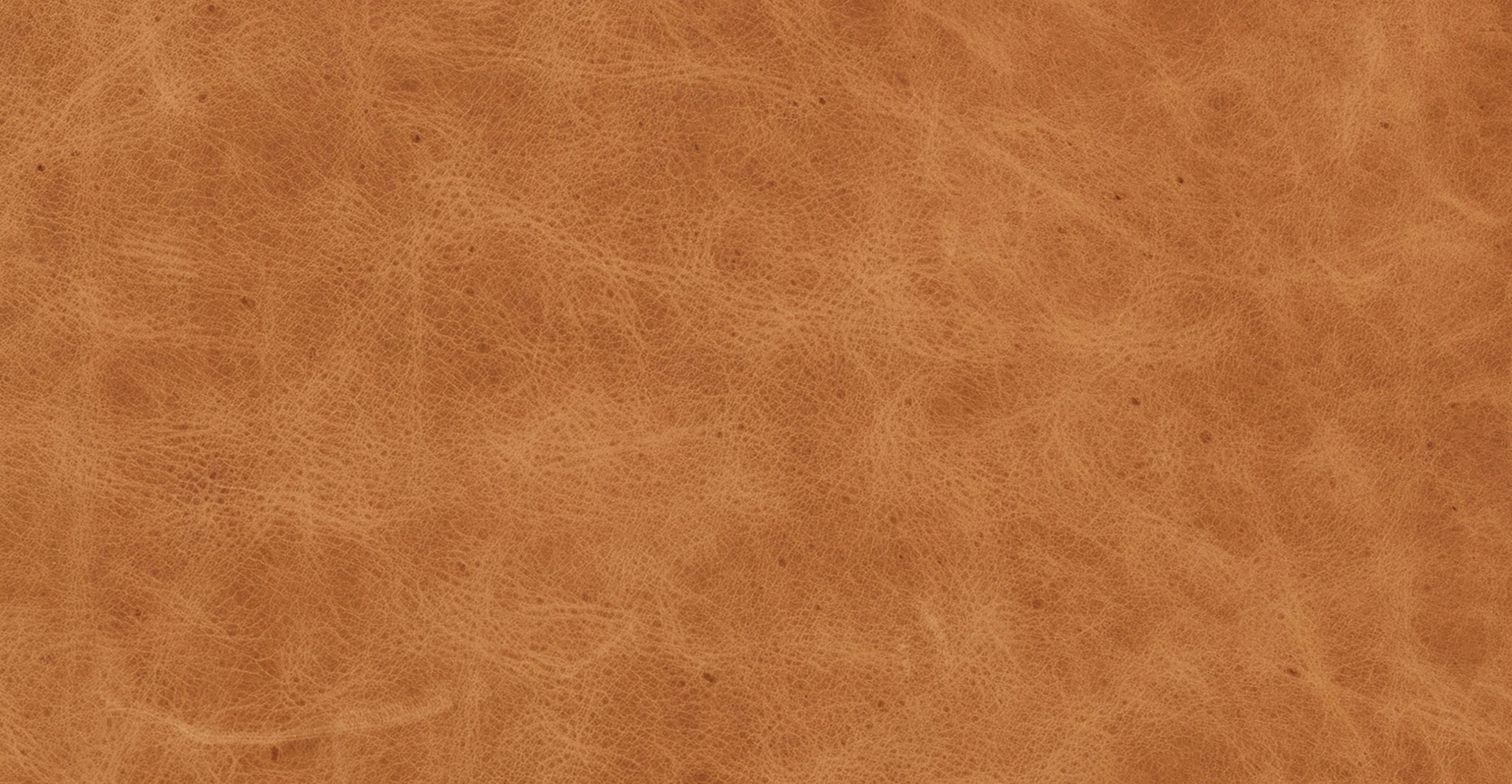 Sorrento Lounge Chair