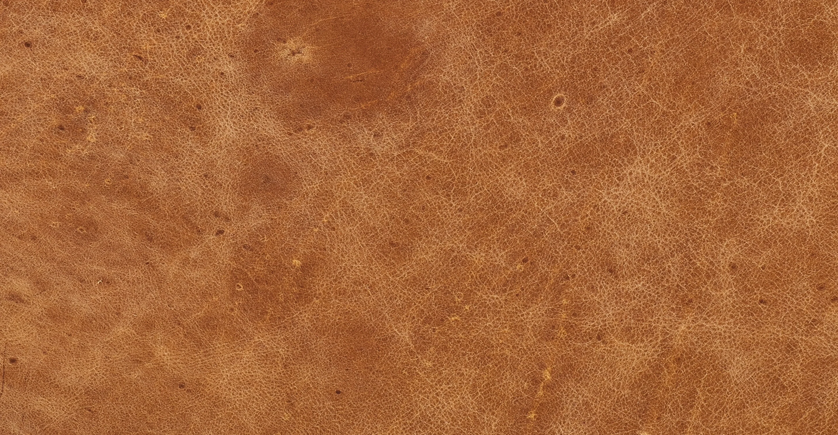 Sorrento Lounge Chair