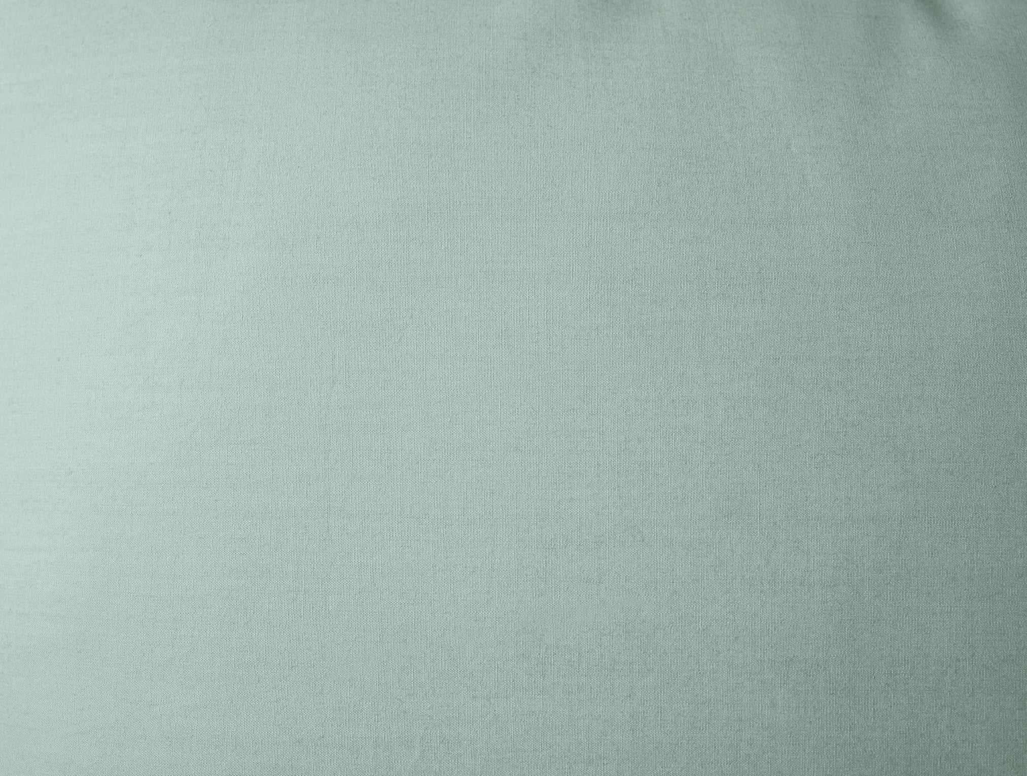 Refined Organic Percale Sham