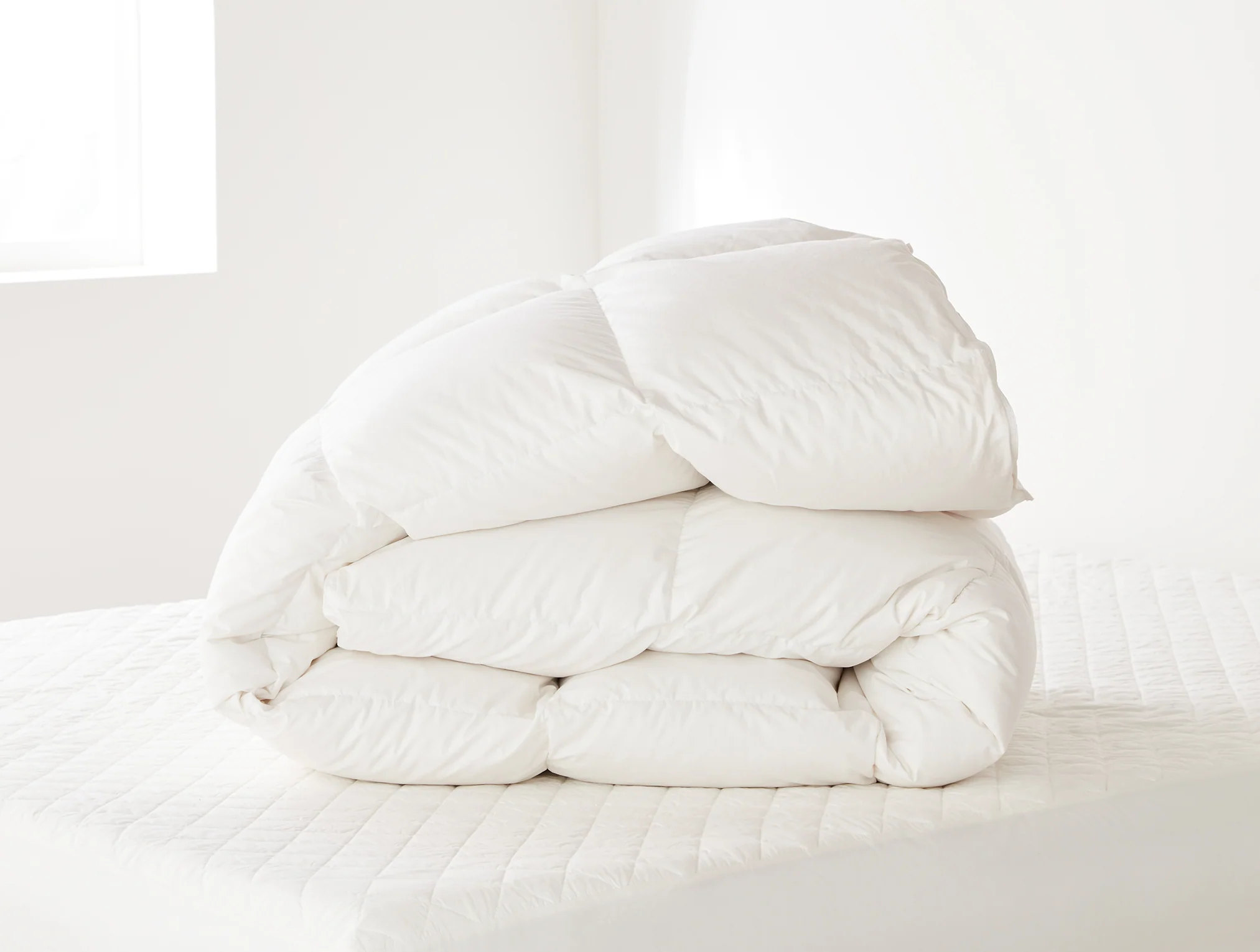 Winter Weight Down Duvet Insert