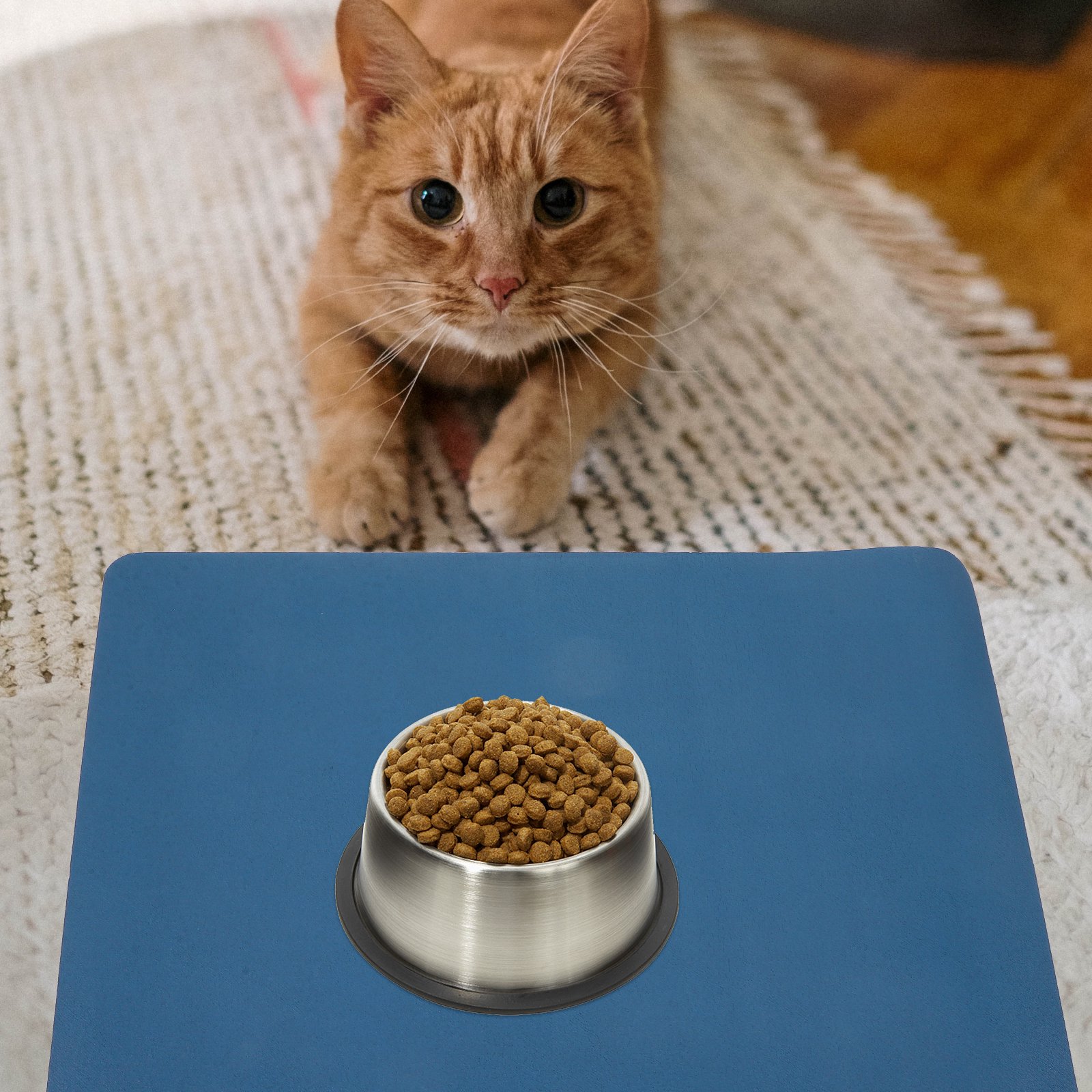 Set of 5 Large Breed Dog Water Bowls with Pet Feeding Mats 40x30x0.4 cm for Dogs