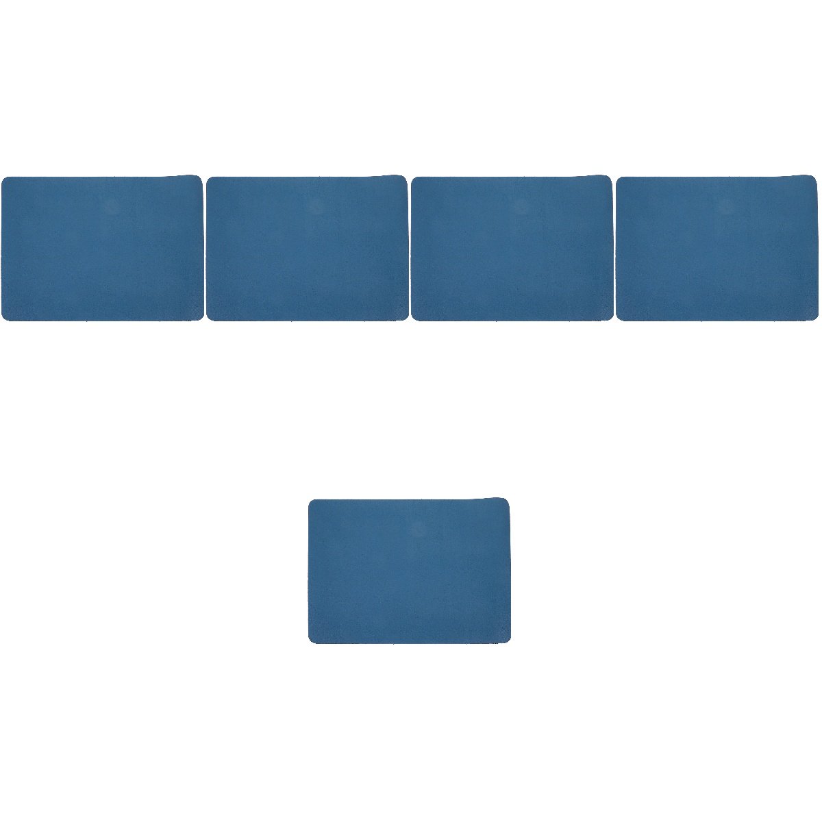 Set of 5 Large Breed Dog Water Bowls with Pet Feeding Mats 40x30x0.4 cm for Dogs