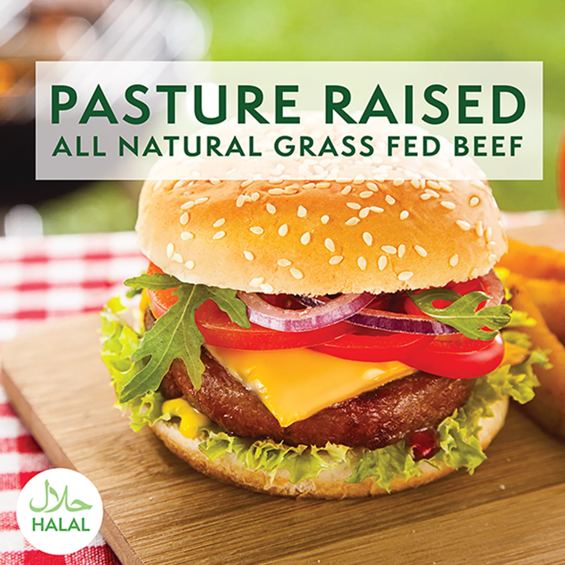 Thomas Farms Grass Fed Ground Beef 85/15, Twelve 1lb Packages