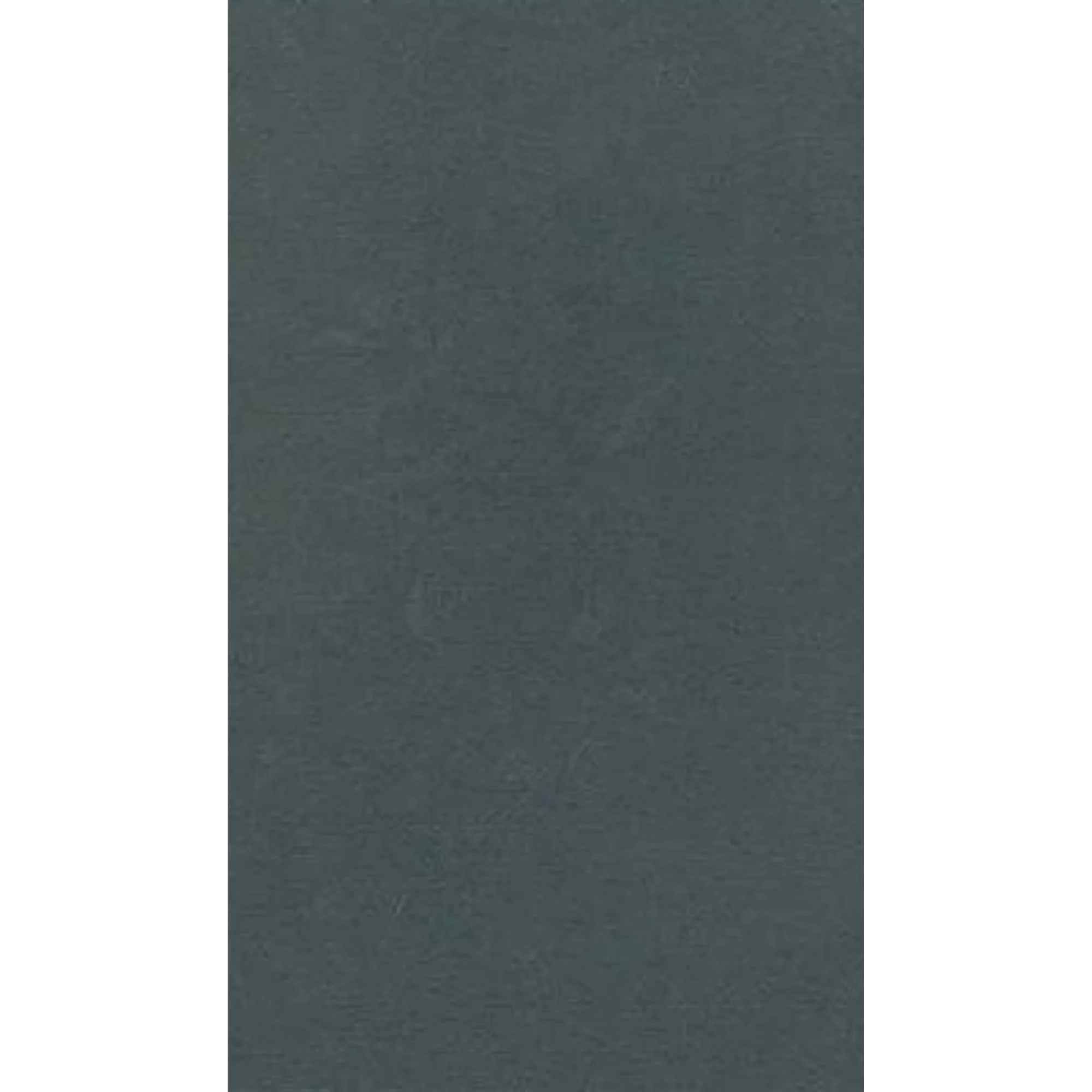 Pre-Owned Between Europe and America: The Future of British Politics (Hardcover 9780333555705) by Andrew Gamble