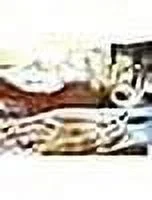 Ariel Vineyards Chardonnay and Cabernet Sauvignon Dealcoholized Wine - Bundled by Louisiana Pantry (Chardonnay, 6 Pack)