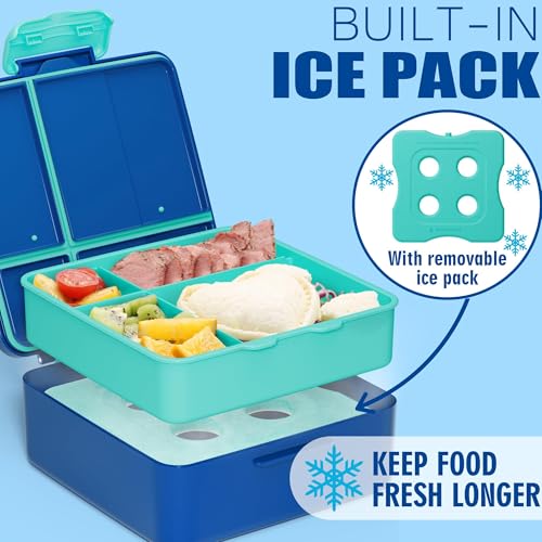 Fimibuke Chill Bento Box for Kids Adult, Leak Proof Toddler Lunch Box with Ice Pack Keep Food Cold, BPA Free 4 Compartment Lunch Container with Utensils for Girl Boy School, Microwave Dishwasher Safe