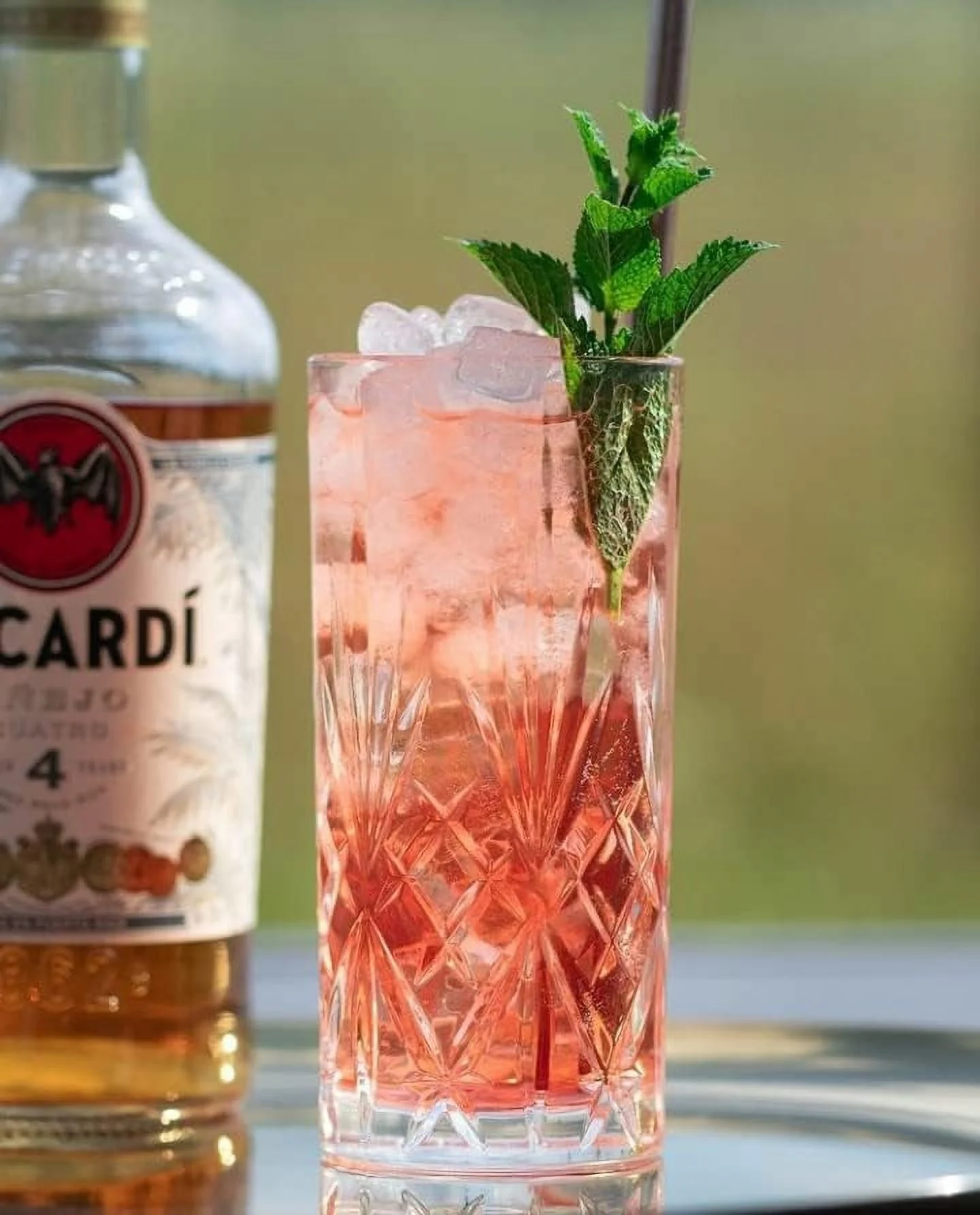 25766020006 Melodia Crystal Hi- Cocktail Water Glass, 23 X 15.5 X 15.5 Cm, Clear