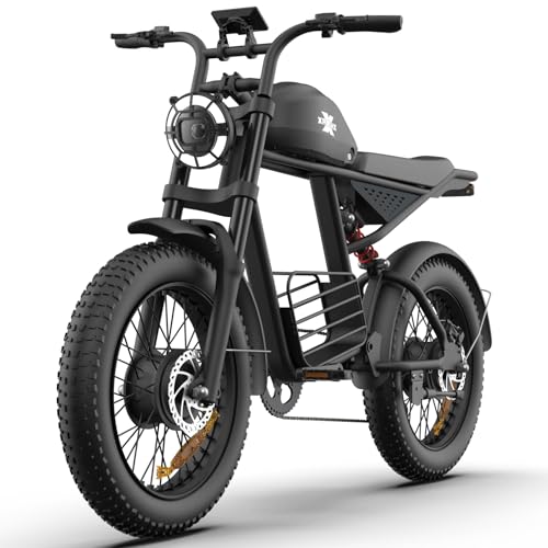 Retro Electric Bike for Adults,1000W-1600W(Peak Power) Electric Dirt Bike,35MPH 60Miles E Bikes Ridstar, 20