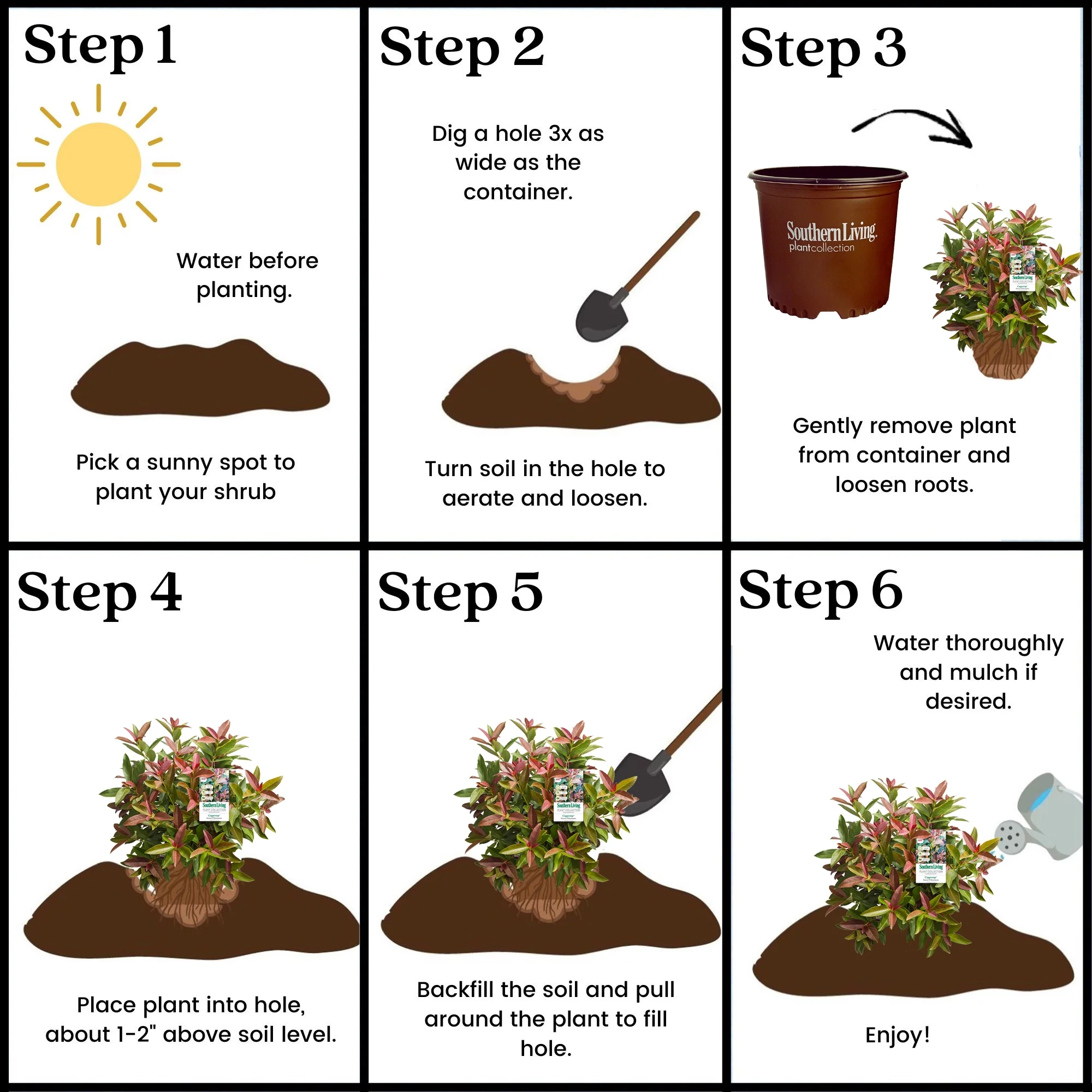 Southern Living Plant Collection Viburnum Copper Top Live Shrub (2 Gallon)