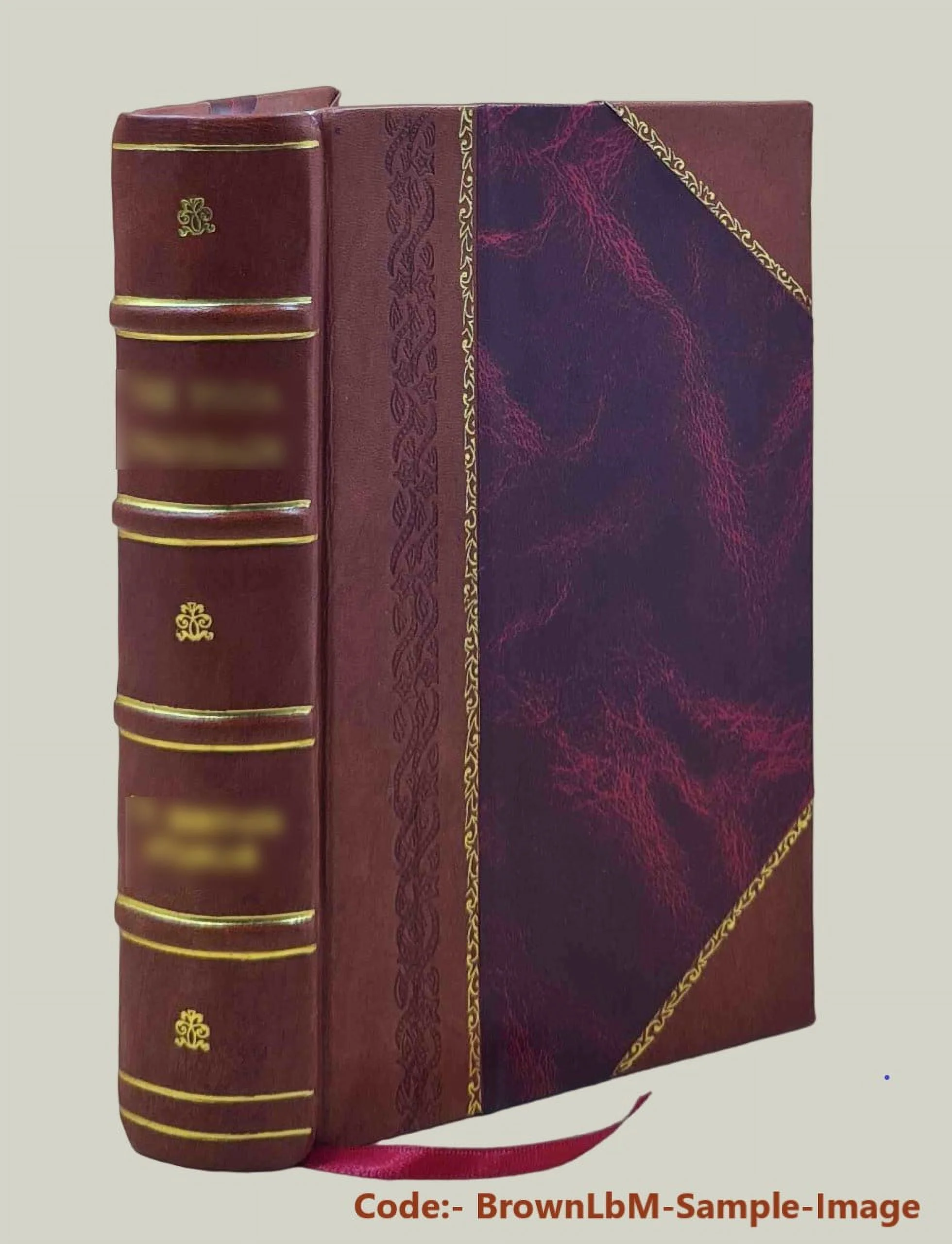 L'olympe brahmanique La mythologie de Manou 1881 [Leather Bound]