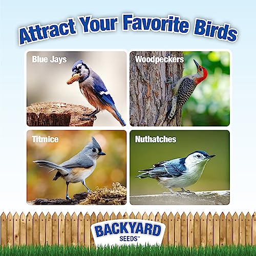 CountryMax Backyard Seeds Peanuts in Shell – Premium in-Shell Peanuts for Birds, Squirrels & Wildlife, Natural USA-Grown, 5 LB Bag, Non-GMO Animal Feed