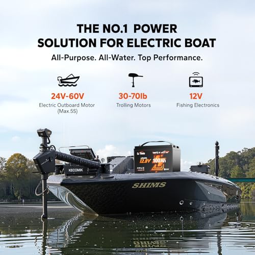 LiTime 12V 100Ah LiFePO4 Battery BCI Group 31 Lithium Battery Built-in 100A BMS, Up to 15000 Deep Cycles, Perfect for RV, Marine, Home Energy Storage