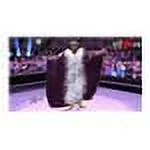 Take-Two WWE 2K14 Microsoft Xbox 360