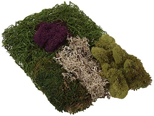SuperMoss Moss Mix - 2 oz