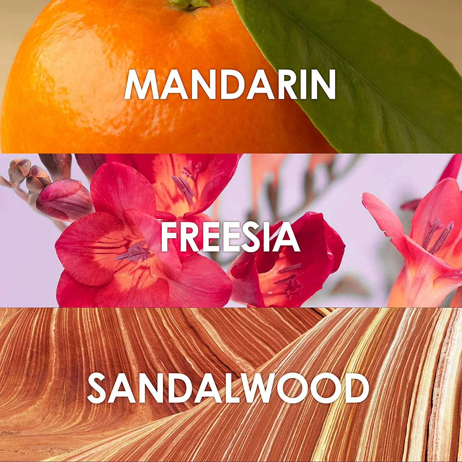 Britney Spears Prerogative Rave by Britney Spears Eau De Parfum Spray 3.3 oz