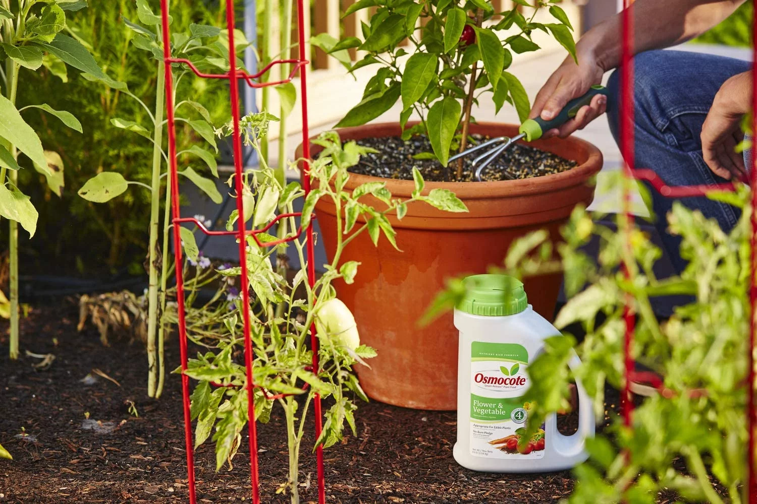 Osmocote 277860 Flower and Vegetable Smart Release Plant Food Plant Fertilizer 6 Pack, 4.5 lb