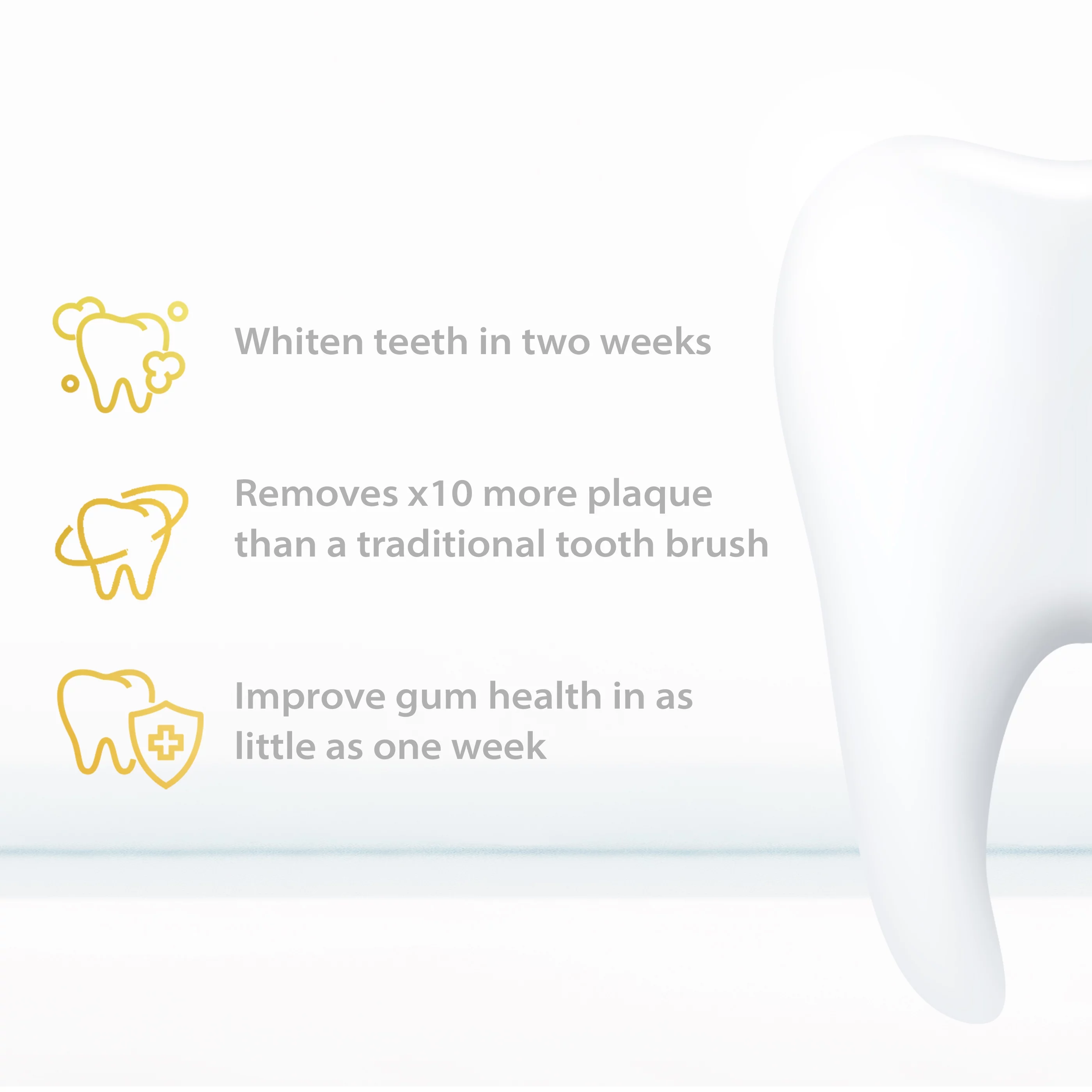 Wagner & Stern Ultrasonic whitening Toothbrush with Pressure Sensor. 5 Brushing Modes and 4 Intensity Levels with 3D Sliding Control, 8 Dupont Bristles, Premium Travel Case. (Blue/Green&nbsp;)