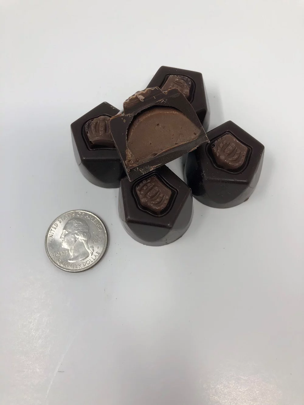 Gourmet Chocolate Truffles Dark Chocolate Candy 1 pound