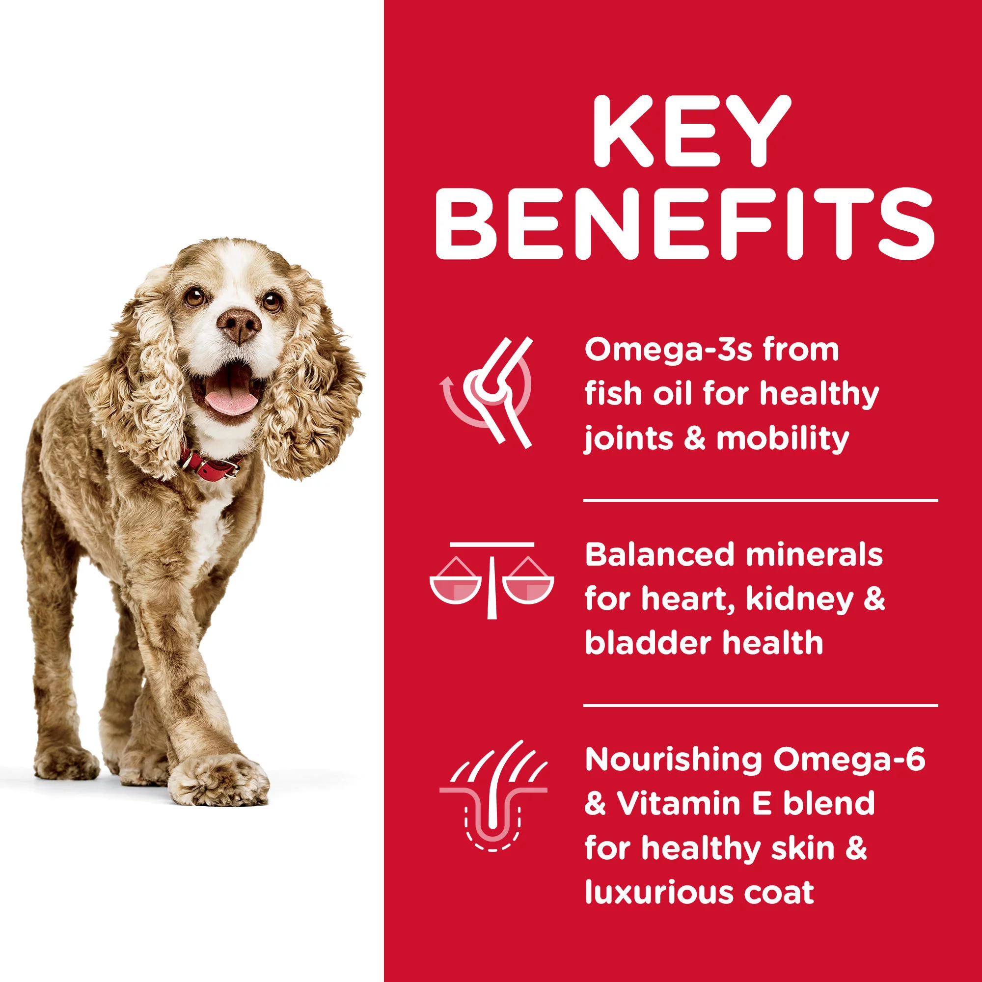 Hill's Science Diet Adult 11+ Small & Toy Breed Age Defying Chicken Meal Rice & Barley Recipe Dry Dog Food, 4.5 lb bag