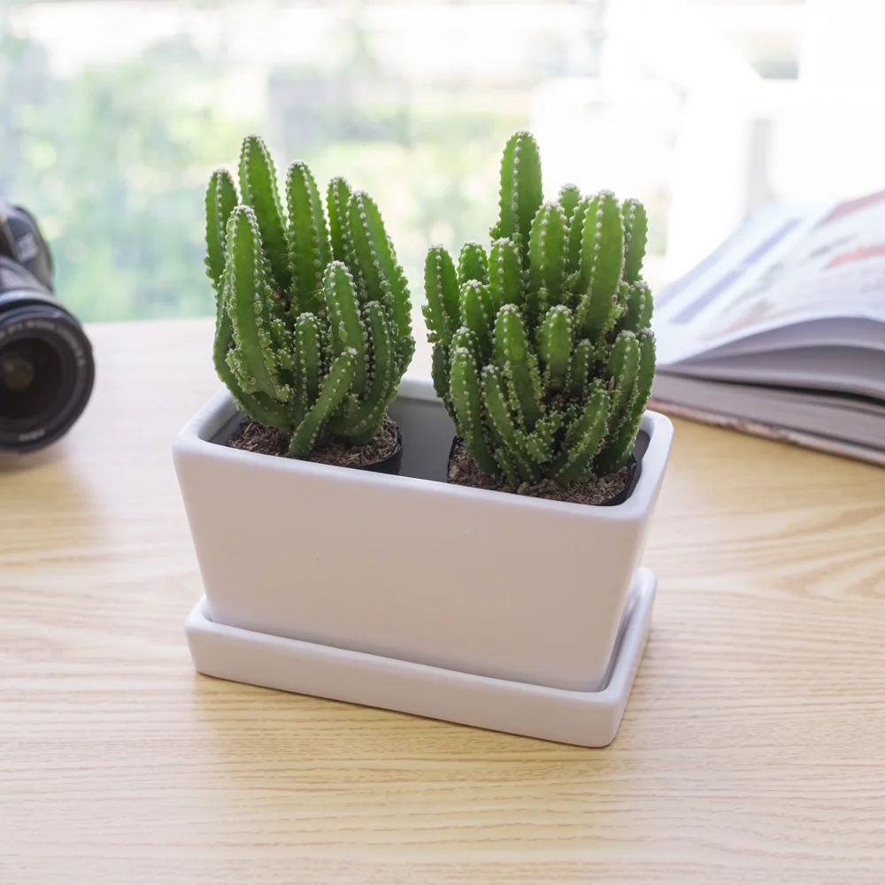 KRALIX Succulent Planter Ceramic Containers, Cactus Planters, Flower Pots with Drainage Hole and Tray, White Rectangular Planter