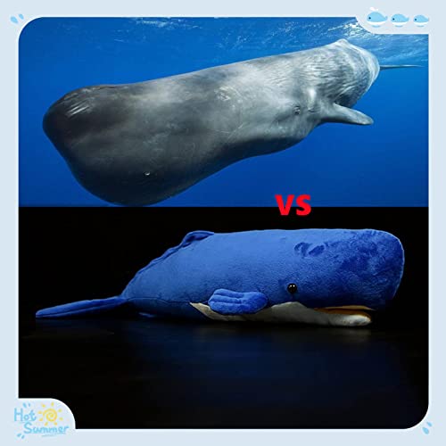 Tiny Heart Simulation Frilled Shark Plush Toys, Frilled Shark Stuffed Animals Cute and Soft Realistic Ocean Animal Plush Kids Birthday Gift Family Decorations