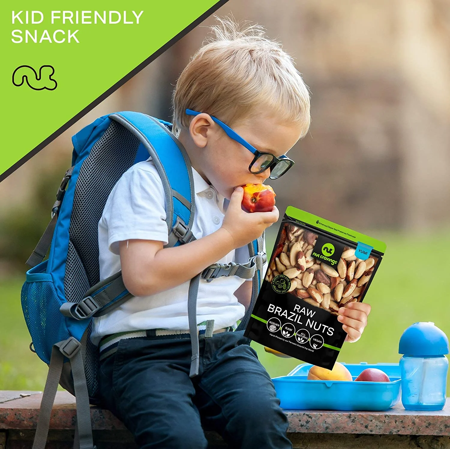 Nut Cravings Raw Brazil Nuts, Unsalted No Shell, (48oz - 3 lb)