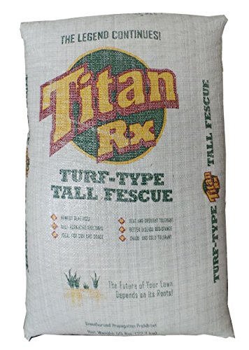 SeedRanch Titan Rx (Ultra) Tall Fescue Grass Seeds - 50 Lbs.