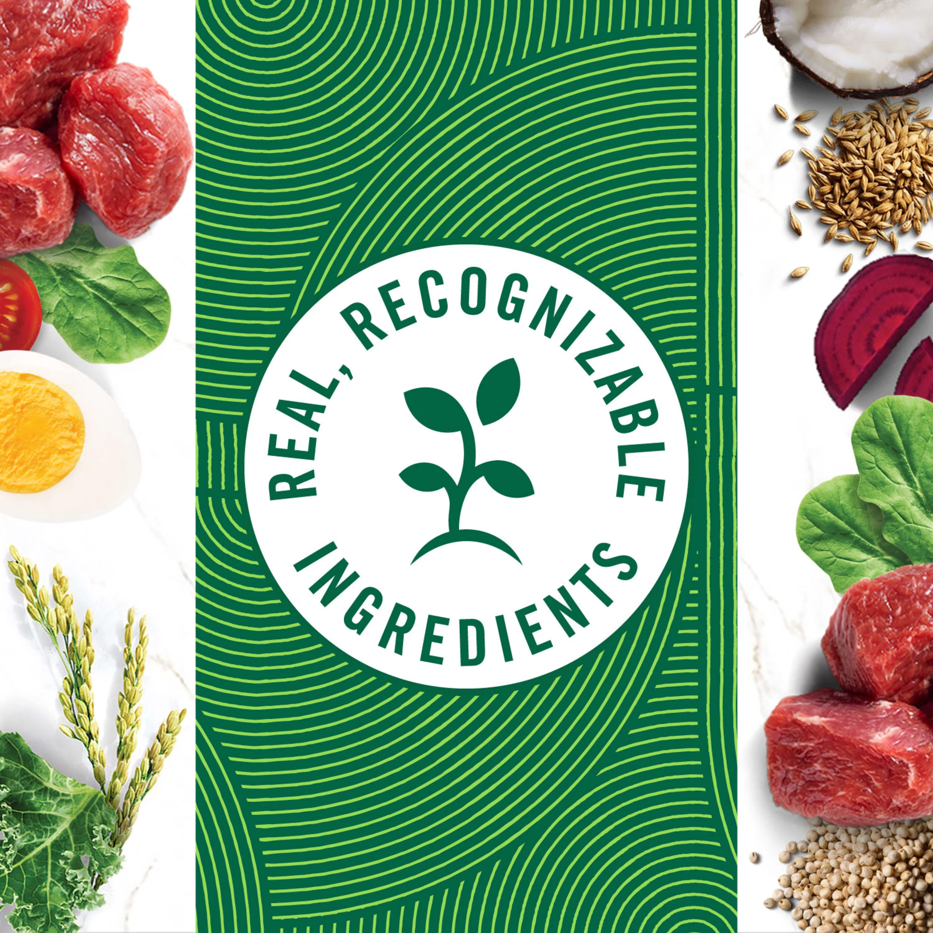 NUTRO NATURAL CHOICE Lamb & Brown Rice Recipe, Large Breed Adult Dry Dog Food, Dog Kibble, 20 lb. Bag