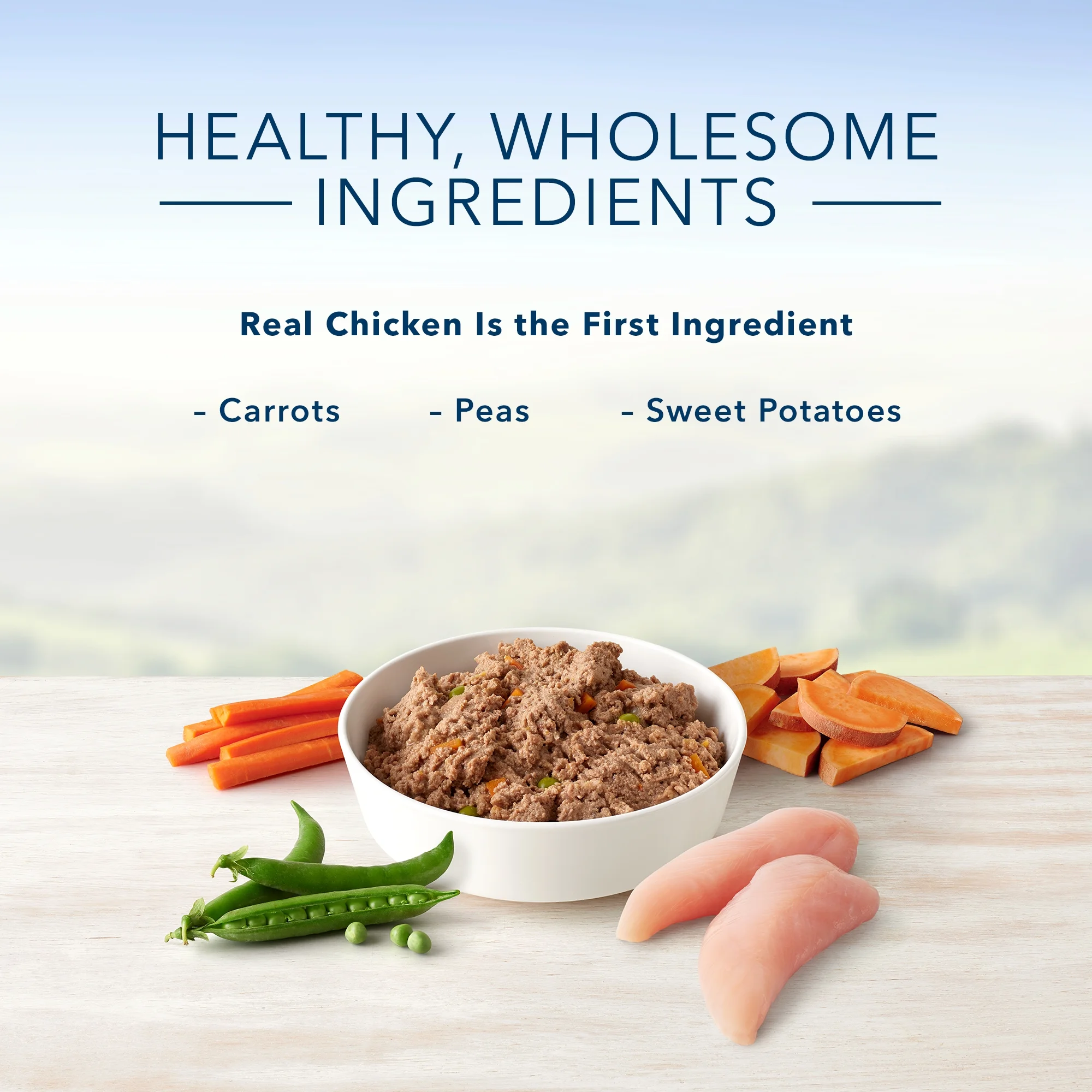 Blue Buffalo Homestyle Recipe Natural Puppy Wet Dog Food, Chicken 12.5-oz can (Pack of 12)