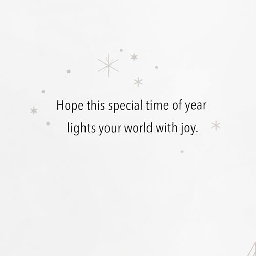 Hallmark Modern Boxed Christmas Cards, Amazing Holiday (40 Cards and 40 Envelopes) Evergreen Branches and Holly