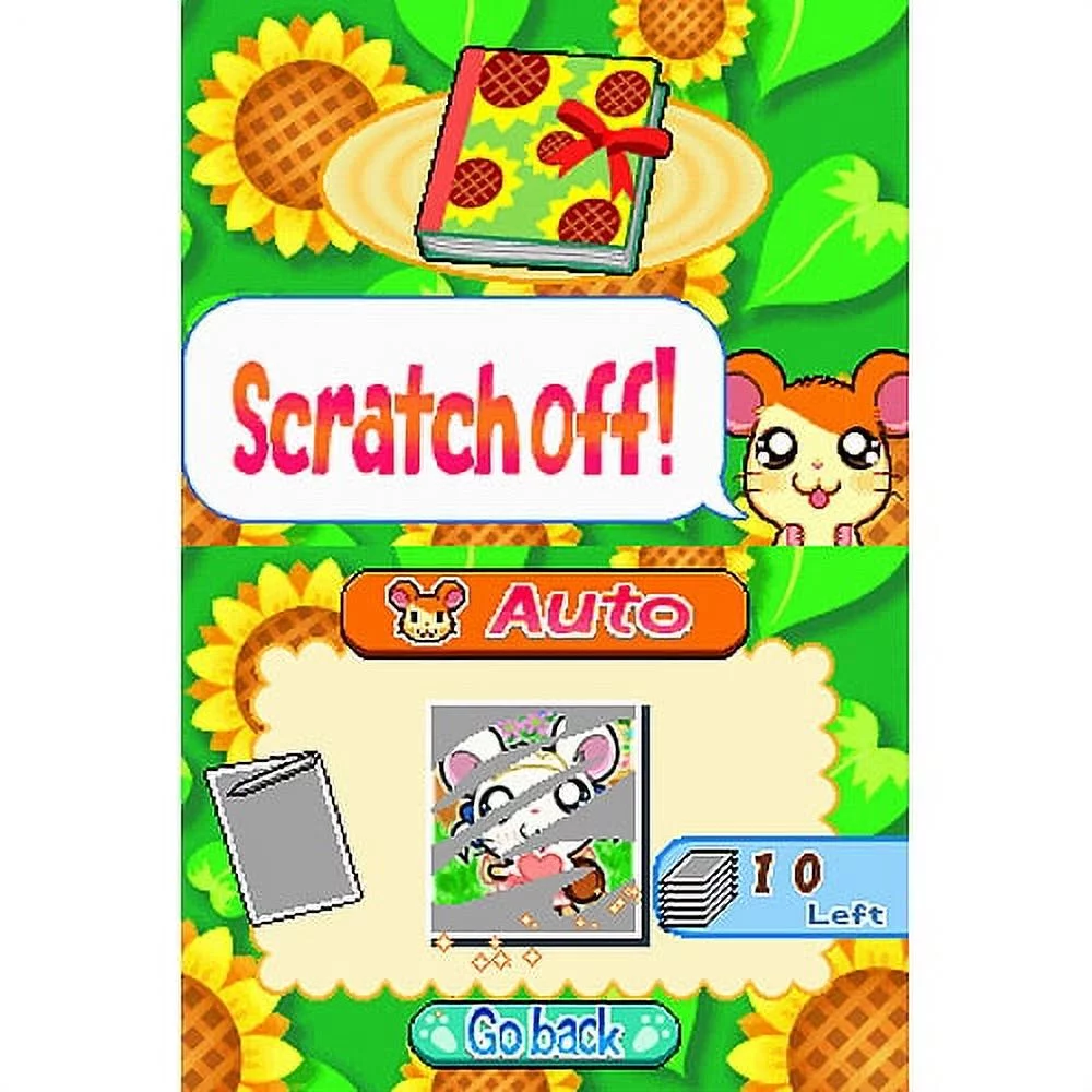 Hi Hamtaro Ham Ham Challenge NDS