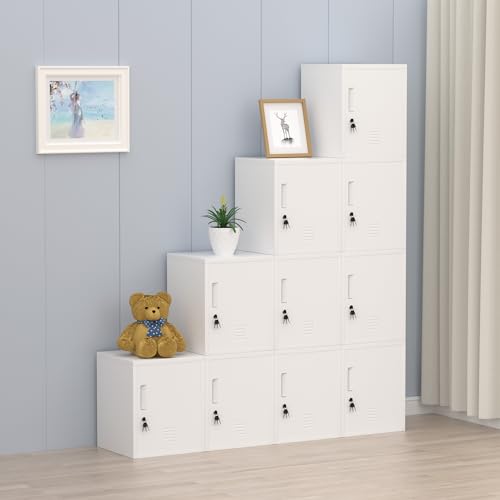 Metal Storage Locker Cabinet with Locking Door and Adjustable Shelf for Home Office Classroom Workshop Organization (Black)