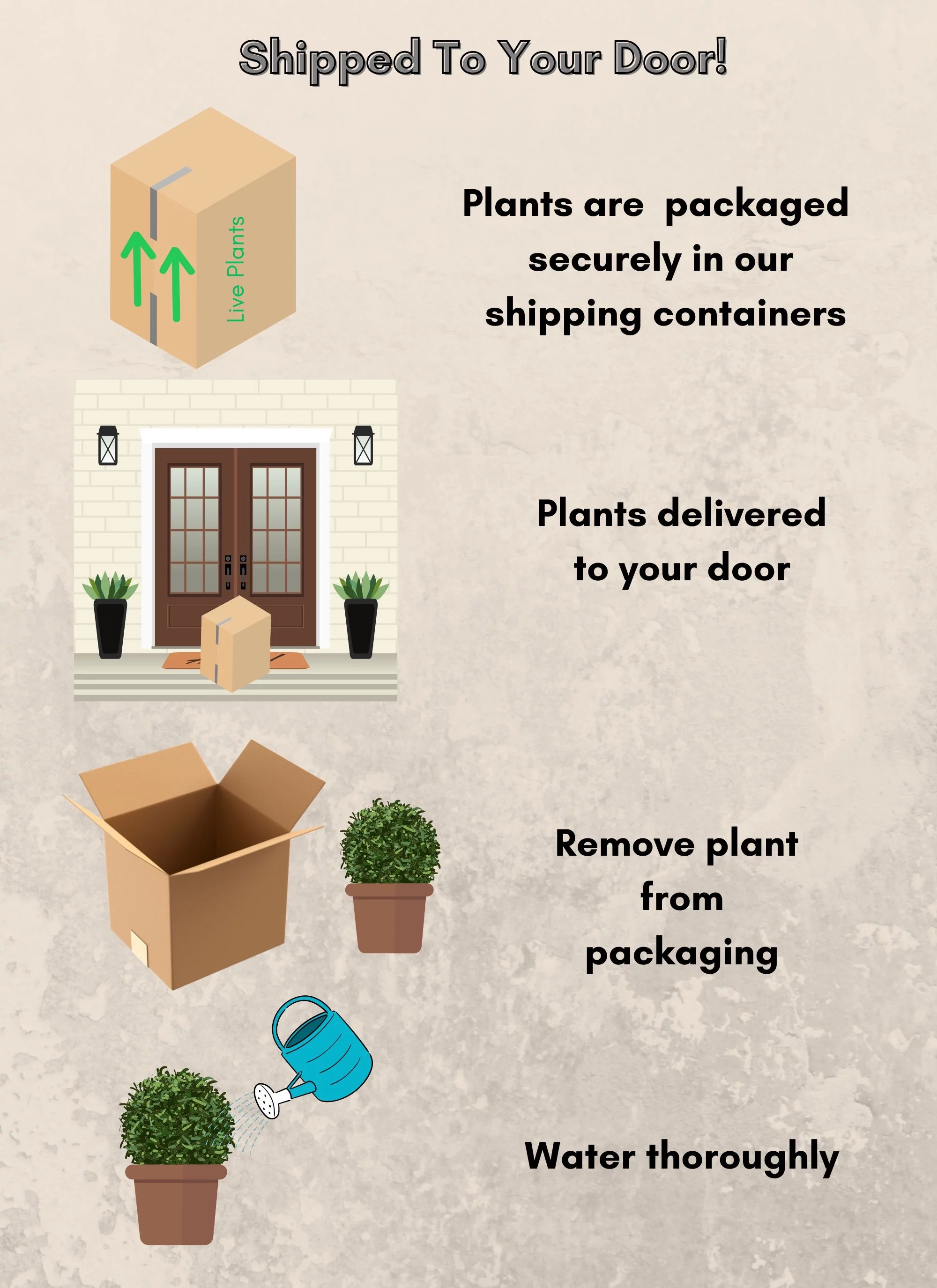 Southern Living Plant Collection Viburnum Copper Top Live Shrub (2 Gallon)