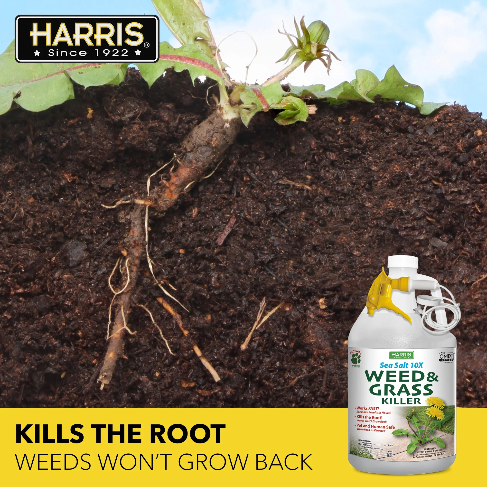 Harris Sea Salt 10X Weed & Grass Killer, 128 oz.