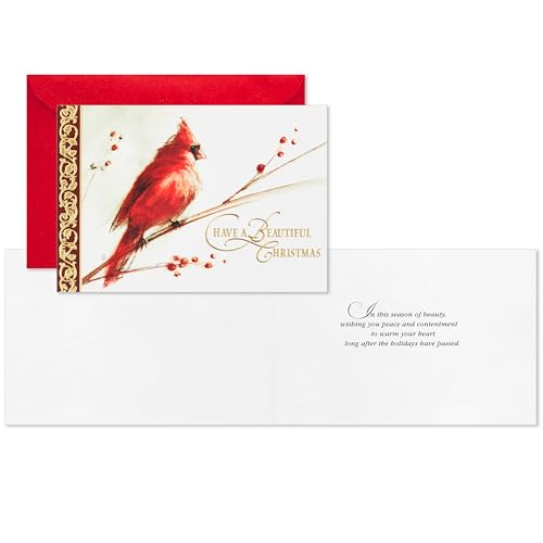 Hallmark Boxed Christmas Cards, Painted Cardinal (40 Cards and 40 Envelopes) Beautiful Christmas